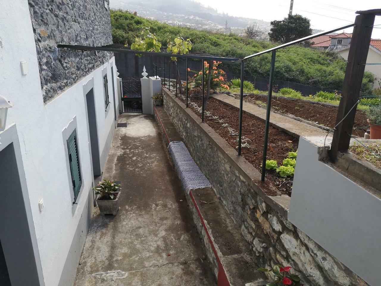 Madeira Inn Casa Da Paz Calheta  Exterior photo